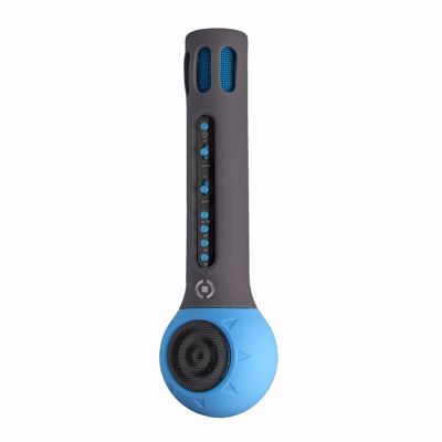 Immagine di MICROPHONE WITH SPEAKER LB