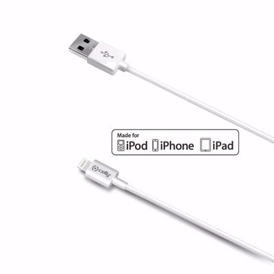 Immagine di USB LIGHTNING CABLE 2M WHITE MFI