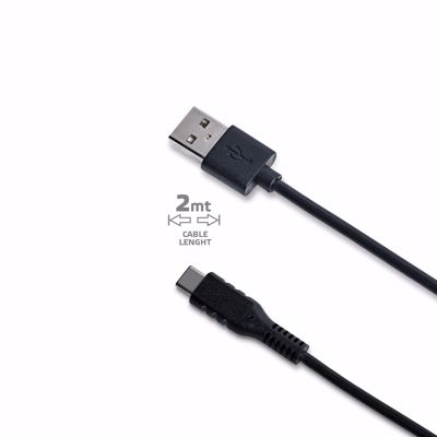 Immagine di USB - TYPE C CABLE 2 METRI BLACK