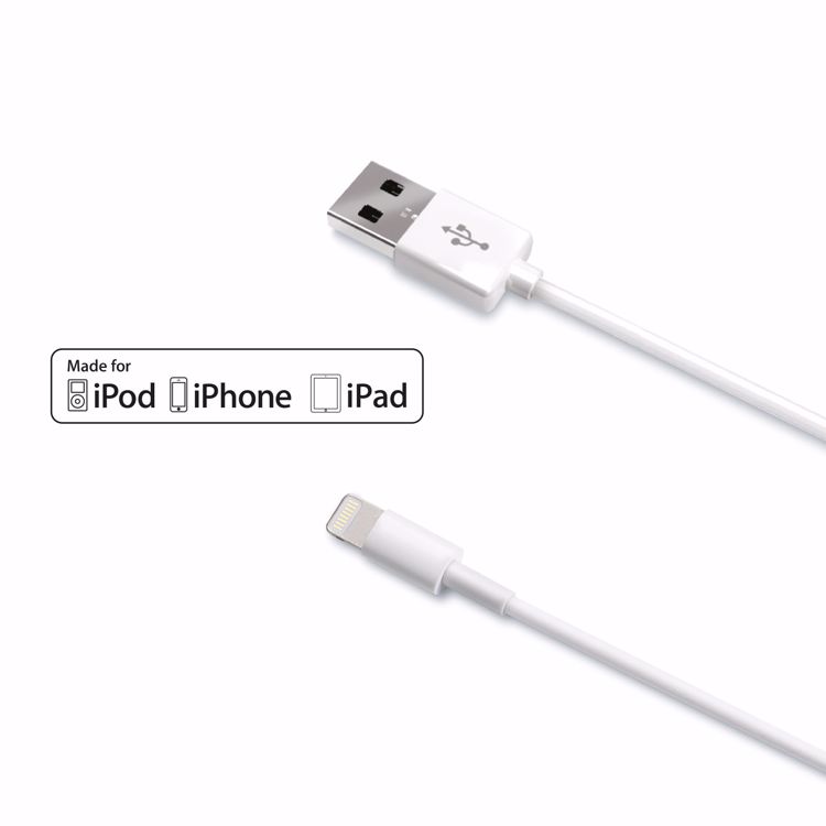 Immagine di USB LIGHTNING MFI SLIM